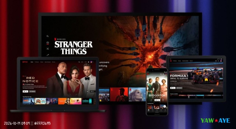 profil-vip-netflix-streaming-hd-fluide-et-telechargements-illimites-big-0