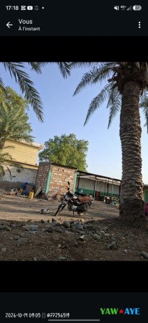 moto-platina-en-bon-etat-general-deux-roues-economique-big-0