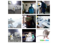 expert-3d-pest-control-disinfection-services-by-djib-say-goodbye-to-unwanted-guests-small-1