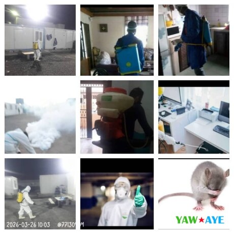 expert-3d-pest-control-disinfection-services-by-djib-say-goodbye-to-unwanted-guests-big-1