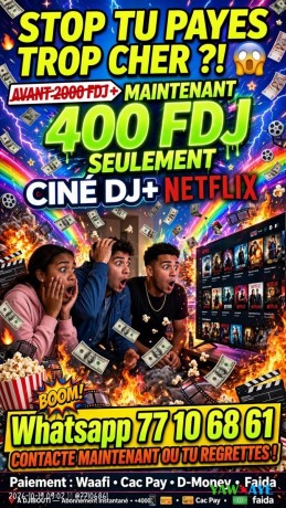 abonnement-netflix-fiable-et-economique-propose-par-cine-dj-big-1