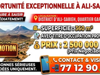terrain-de-360-m2-avec-titre-provisoire-a-ali-sabieh-garanouk