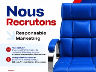 responsable-marketing-et-developpement-commercial-imprimerie-nationale-de-djibouti