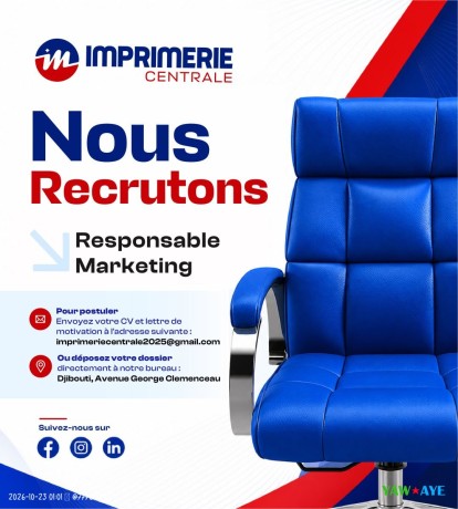 responsable-marketing-et-developpement-commercial-imprimerie-nationale-de-djibouti-big-1